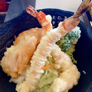 Tempura Don w. Salad